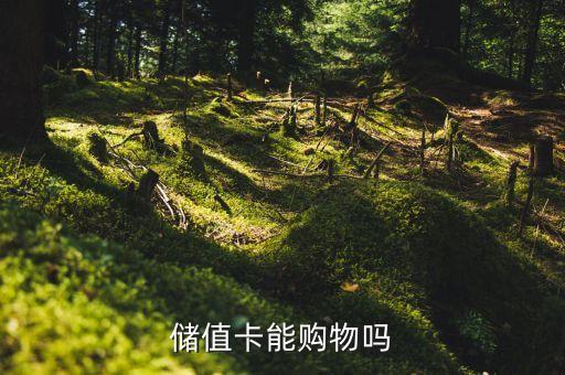 儲(chǔ)值卡能購物嗎