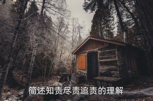 什么是追責(zé)，簡(jiǎn)述知責(zé)盡責(zé)追責(zé)的理解