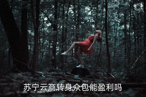 蘇寧眾包什么時候上線，蘇寧云商轉(zhuǎn)身眾包能盈利嗎