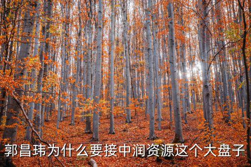 中潤(rùn)資源為什么停牌，000506中潤(rùn)資源停牌多久可以復(fù)牌