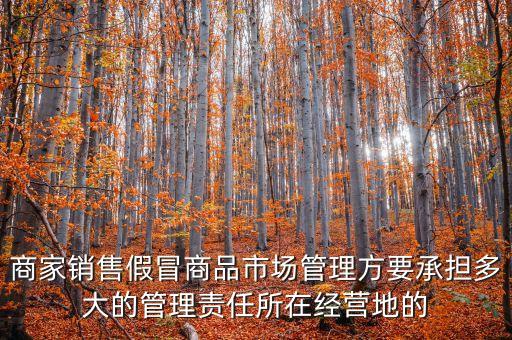商家銷售假冒商品市場(chǎng)管理方要承擔(dān)多大的管理責(zé)任所在經(jīng)營(yíng)地的