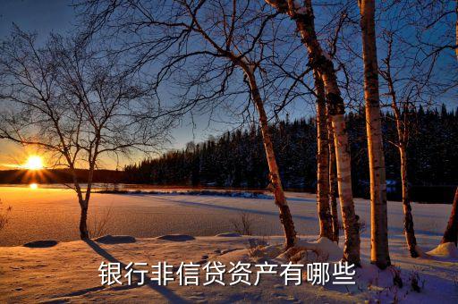 非信貸業(yè)務(wù)是什么，什么是銀行的非信貸資產(chǎn)