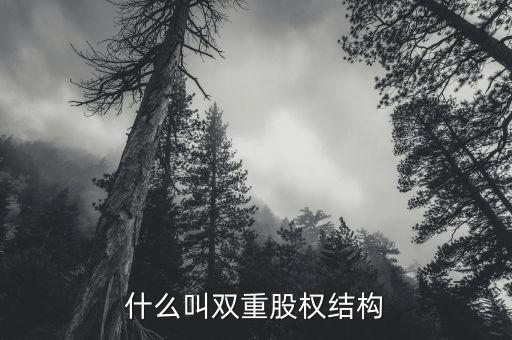 什么是雙層董事會(huì)，家長(zhǎng)不提供學(xué)習(xí)費(fèi)用能否貸款