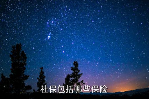 社保保險(xiǎn)保些什么，社會(huì)保險(xiǎn)包括哪些險(xiǎn)
