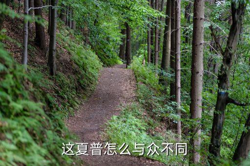 基金161707和161706是什么關(guān)系，這夏普怎么與眾不同