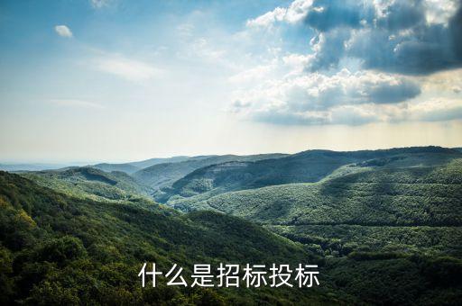 什么叫招標(biāo)率，什么是投標(biāo)利率