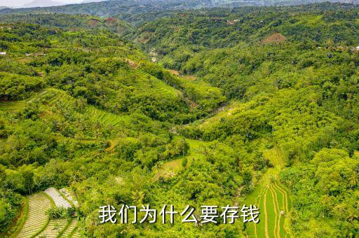 存錢有什么理由，我們?yōu)槭裁匆驽X