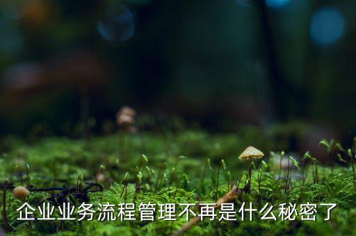 流程管理的亂象是什么，企業(yè)業(yè)務(wù)流程管理不再是什么秘密了