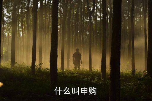 打新申購什么意思，什么叫申購