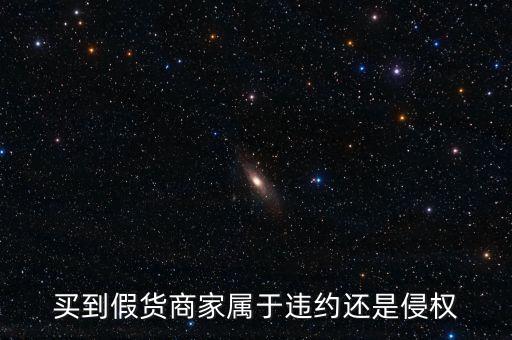 假進(jìn)口商家承擔(dān)什么責(zé)任，商家銷售假冒商品市場管理方要承擔(dān)多大的管理責(zé)任所在經(jīng)營地的
