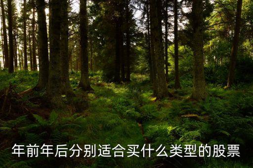 年前年后分別適合買(mǎi)什么類(lèi)型的股票