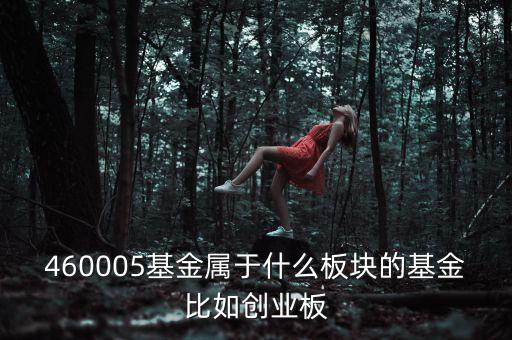 富國天益價值重倉什么板塊，460005基金屬于什么板塊的基金比如創(chuàng)業(yè)板