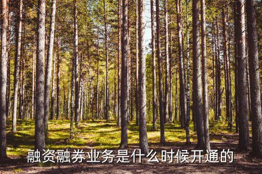 融資融券業(yè)務(wù)什么時(shí)候開(kāi)始的，融資融券什么時(shí)候開(kāi)始