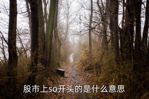 so股票什么意思，股市上so開(kāi)頭的是什么意思