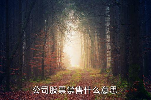什么是禁售股，公司股票禁售什么意思