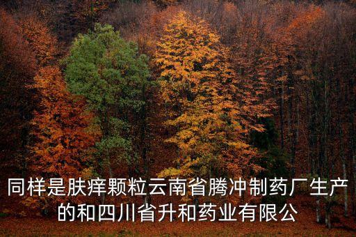 騰沖制藥廠是什么企業(yè)，云南騰沖制藥廠制造的人參再造丸