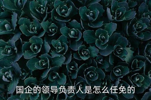 國企的領(lǐng)導(dǎo)負(fù)責(zé)人是怎么任免的