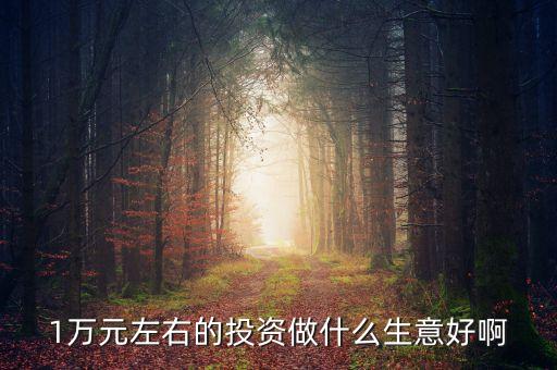萬投資什么好，有10000元錢拿來做什么最好或者投資什么最好