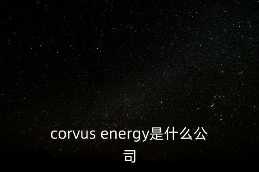 智慧松德是什么公司，corvus energy是什么公司