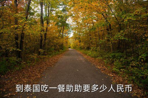 助幣是什么意思，到泰國(guó)吃一餐助助要多少人民幣