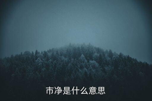 什么叫市凈率，什么是市凈率和市盈率