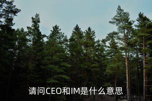 光大富尊IM是是什么，請問CEO和IM是什么意思