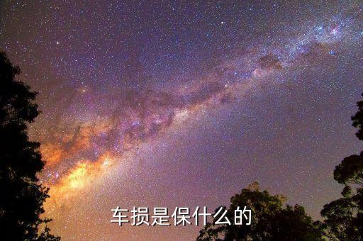 車(chē)損是保什么的