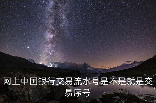中國(guó)銀行企業(yè)網(wǎng)銀轉(zhuǎn)賬批次號(hào)什么意思，企業(yè)網(wǎng)銀客戶號(hào)是什么意思