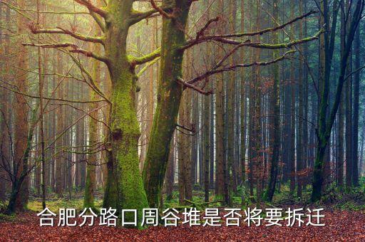 周谷堆什么時(shí)候搬遷，合肥分路口周谷堆是否將要拆遷