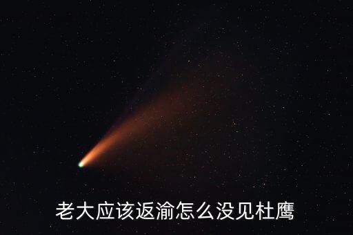 張曉強(qiáng)杜鷹為什么，發(fā)改委副主任杜鷹是誰(shuí)的孩子