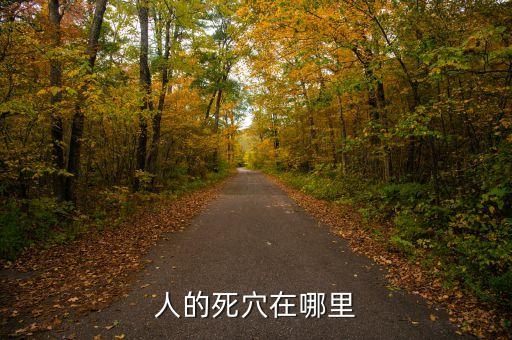人身死穴在什么地方，人的死穴在哪里