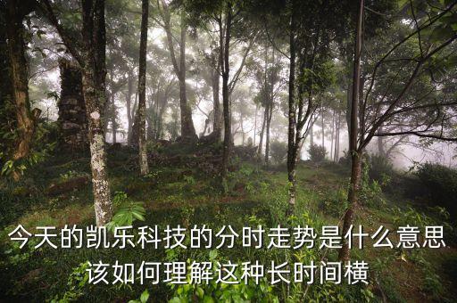 今天的凱樂科技的分時走勢是什么意思該如何理解這種長時間橫