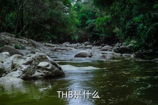 thb是什么貨幣，bath是什么貨幣