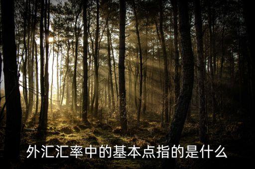 外匯基點是什么意思，外匯匯率中的基本點指的是什么