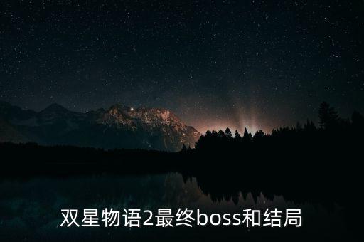 雙星汪海干什么去了，雙星 董事長