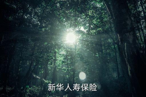新華保險(xiǎn)康典是什么級(jí)別，新華人壽保險(xiǎn)