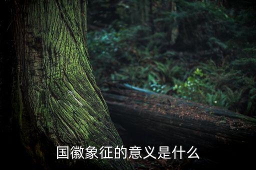 國琪意義是什么，國徽象征的意義是什么