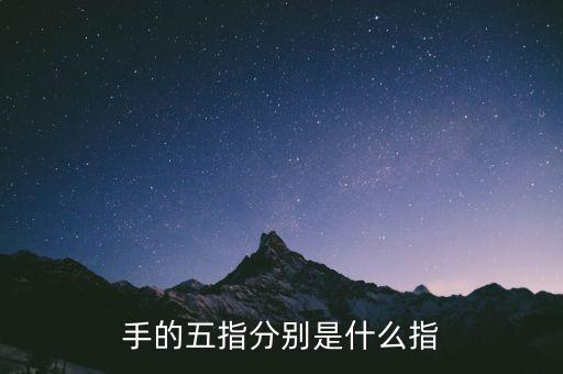 五指最后小指是什么指，五指 怎么分別