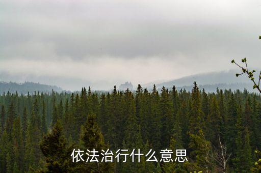 依法治行什么意思