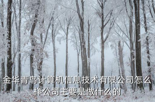 青鳥華光是做什么的，送機(jī)員是做什么的