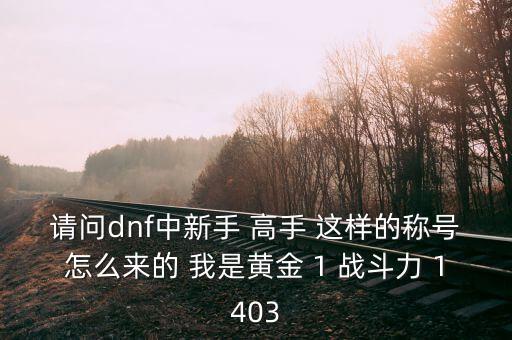 請問dnf中新手 高手 這樣的稱號(hào)怎么來的 我是黃金 1 戰(zhàn)斗力 1403