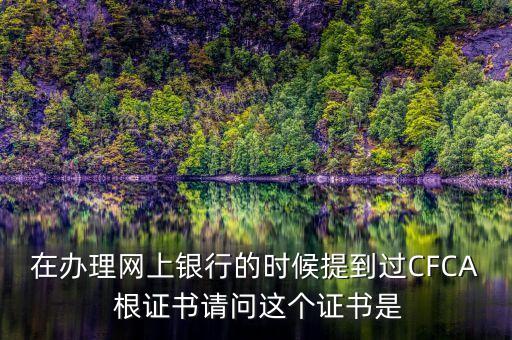在辦理網(wǎng)上銀行的時(shí)候提到過(guò)CFCA 根證書(shū)請(qǐng)問(wèn)這個(gè)證書(shū)是