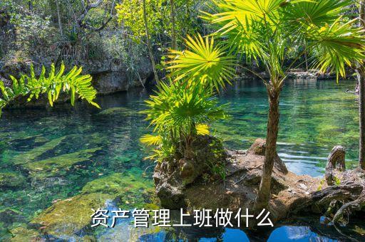 資產(chǎn)管理做什么，資產(chǎn)管理上班做什么