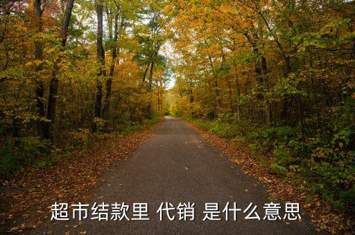 超市代銷是什么意思，代銷商品款是甚么意思