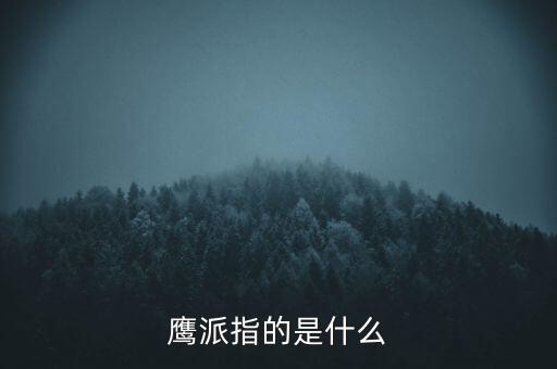 美聯(lián)儲(chǔ)鷹派是什么意思，美國(guó)政壇里的鷹派是什么意思