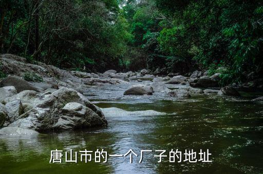 同方國芯的總部為什么在玉田縣，唐山市的一個廠子的地址