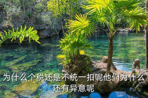 個稅為什么盲區(qū)，為什么個稅還是不統(tǒng)一扣呢他們?yōu)槭裁催€有異意呢