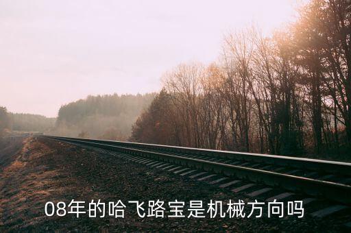 哈飛集團(tuán)用什么專(zhuān)業(yè)，08年的哈飛路寶是機(jī)械方向嗎