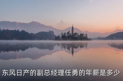 任勇為什么不是東風公司副總，東風日產(chǎn)任勇總經(jīng)理