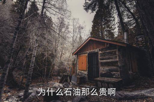 石油為什么這貴，石油為何那么貴